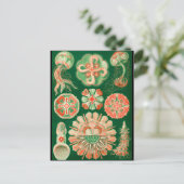 Jellyfish ポストカード (スタンド正面)