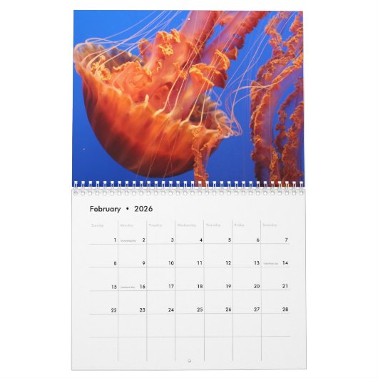 Jellyfish Custom Printed Calendar 2022 カレンダー (2月 2026)