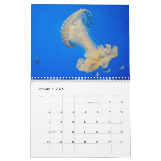 Jellyfish Custom Printed Calendar 2022 カレンダー (1月 2026)