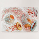 Jellyfish, Discomedusae by Ernst Haeckel ジグソーパズル (横)