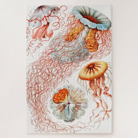 Jellyfish, Discomedusae by Ernst Haeckel ジグソーパズル (縦)