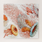 Jellyfish, Discomedusae by Ernst Haeckel ジグソーパズル (横)