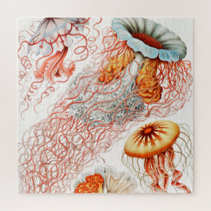 Jellyfish, Discomedusae by Ernst Haeckel ジグソーパズル
