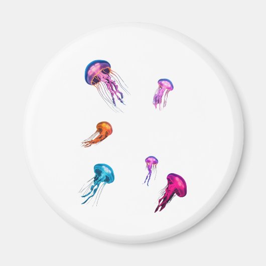jellyfish magnet マグネット (正面)