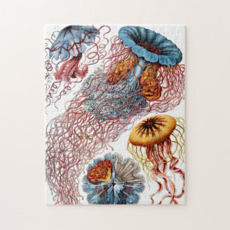 Jellyfish (Scheibenquallen) by Ernst Haeckel ジグソーパズル