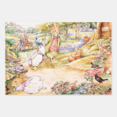 Jemima Puddle Duck氏と散歩キツネ ラッピングペーパーシート (正面)