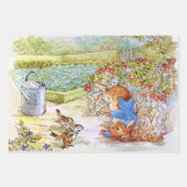 Jemima Pudle and Duck Peter the Rabbit Mix ラッピングペーパーシート (正面2)