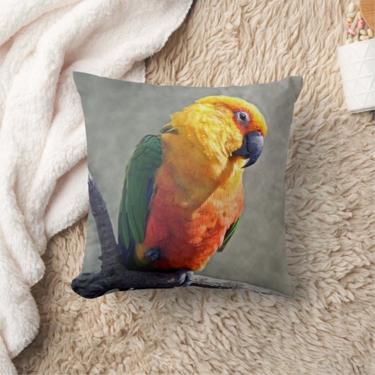 Jenday Conureの枕 クッション (ブランケット)