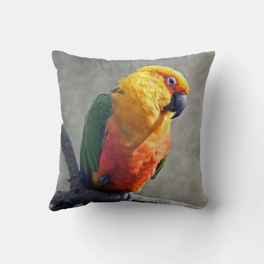 Jenday Conureの枕 クッション (裏面)