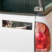 Jenna銃の範囲 バンパーステッカー (トラック上)