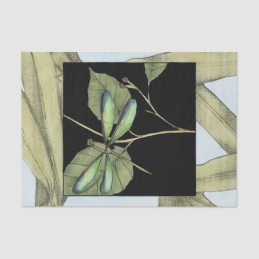 Jennifer Goldberger葉によるドラゴンフライの挿入を持つ 薄葉紙 (正面)