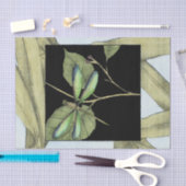 Jennifer Goldberger葉によるドラゴンフライの挿入を持つ 薄葉紙 (クラフト)