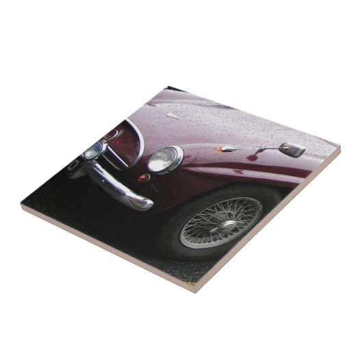 Jensen 541のグリル タイル (側面)