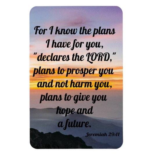 Jeremiah 29:11、冷蔵庫マグネット マグネット (縦)