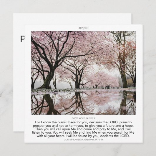 Jeremiah 29:11-14 GOD'S PROMISE SCRIPIX 招待状 (正面/裏面)