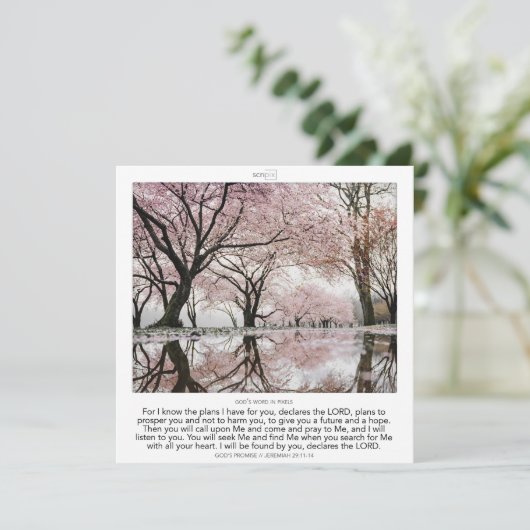 Jeremiah 29:11-14 GOD'S PROMISE SCRIPIX 招待状 (スタンド正面)