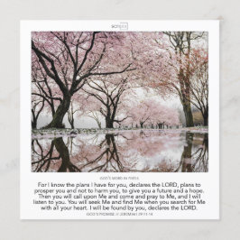 Jeremiah 29:11-14 GOD'S PROMISE SCRIPIX 招待状