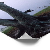 Jeremiah 29:11 Scripture Poster Print ポスター (角)