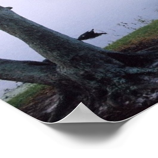 Jeremiah 29:11 Scripture Poster Print ポスター (角)