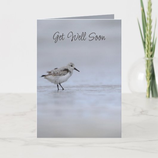 Jeremiah 33:3 Call to Me Bible Verse Wren Bird カード (正面)