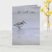 Jeremiah 33:3 Call to Me Bible Verse Wren Bird カード (黄色い花)