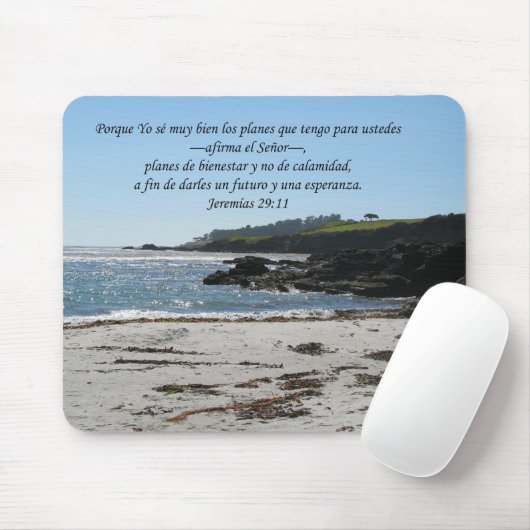 Jeremiasの29:11 マウスパッド (マウス)
