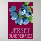 Jersey_Blueberries ポスター (正面)