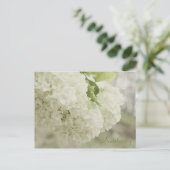 JerseyFawnの「サマー・スノー」 ポストカード (スタンド正面)