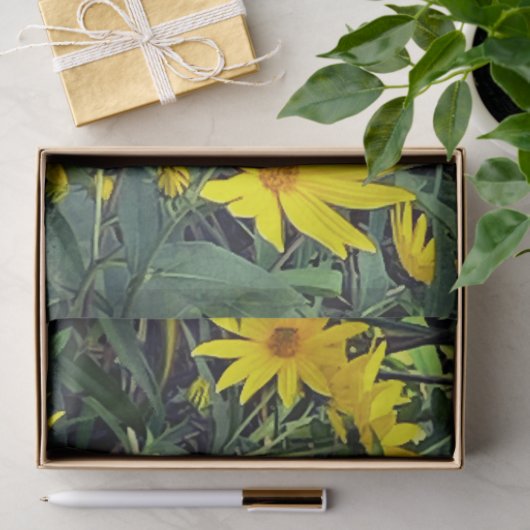 Jerusalem Artichoke 薄葉紙 (ギフト)