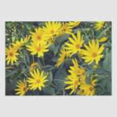 Jerusalem Artichoke 薄葉紙 (正面)