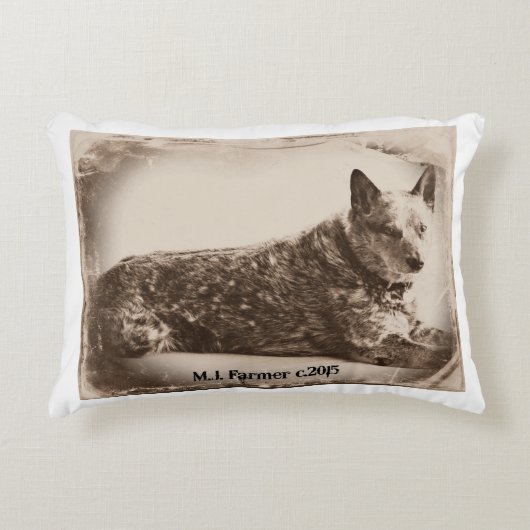 Jessie…テキサス州Heelerの枕 アクセントクッション (正面)