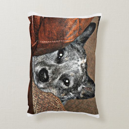 Jessie…テキサス州Heelerの枕 アクセントクッション (裏面(縦))