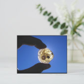 Jessupsの首、ロングアイランド ポストカード (スタンド正面)