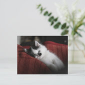 Jessy Jane – はがき (スタンド正面)