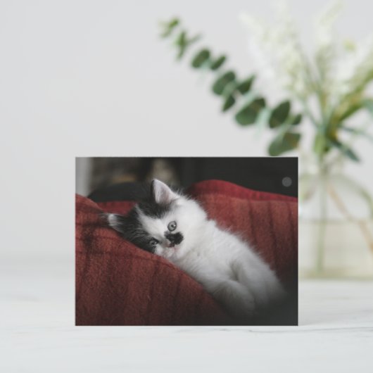 Jessy Jane – はがき (スタンド正面)