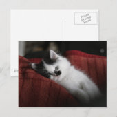 Jessy Jane – はがき (正面/裏面)