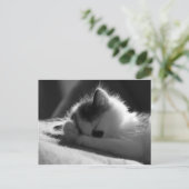 Jessy Jane - ポストカード (スタンド正面)