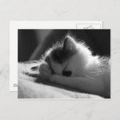 Jessy Jane - ポストカード (正面/裏面)