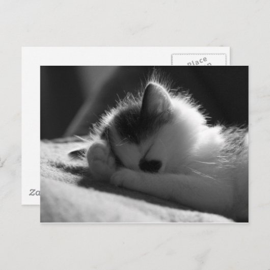 Jessy Jane - ポストカード (正面/裏面)