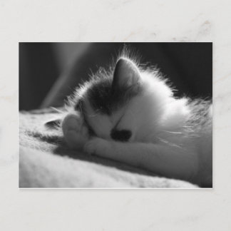 Jessy Jane - ポストカード