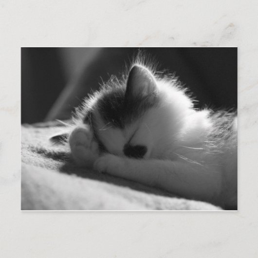 Jessy Jane - ポストカード (正面)