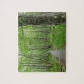 Jesupパスボードウォークトレイル ジグソーパズル (縦)