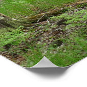 Jesupパスボードウォークトレイル ポスター (角)