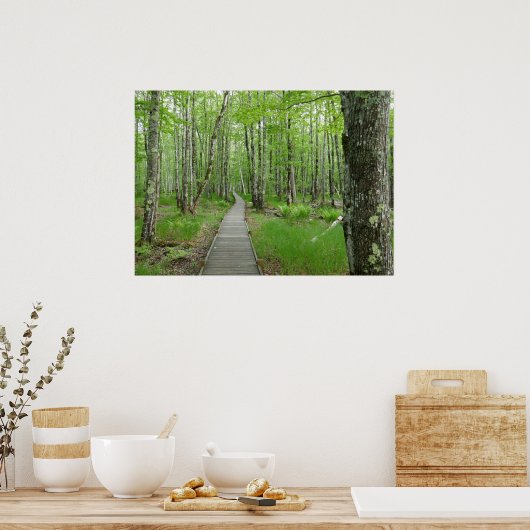 Jesupパスボードウォークトレイル ポスター (キッチン)