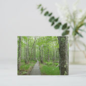 Jesupパスボードウォークトレイル ポストカード (スタンド正面)