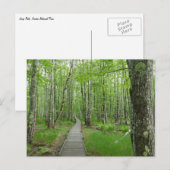 Jesupパスボードウォークトレイル ポストカード (正面/裏面)