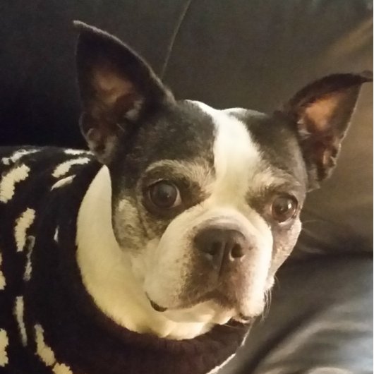 Jesus 後を追 Me Notepad, Christmas, Gift, ユニーク ノートパッド