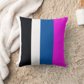 Jet Black, Pure White, Teal Blue, Hot Pink Stripes クッション (ブランケット)