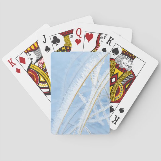 Jeu de cartes le gel et l'or トランプ (裏面)