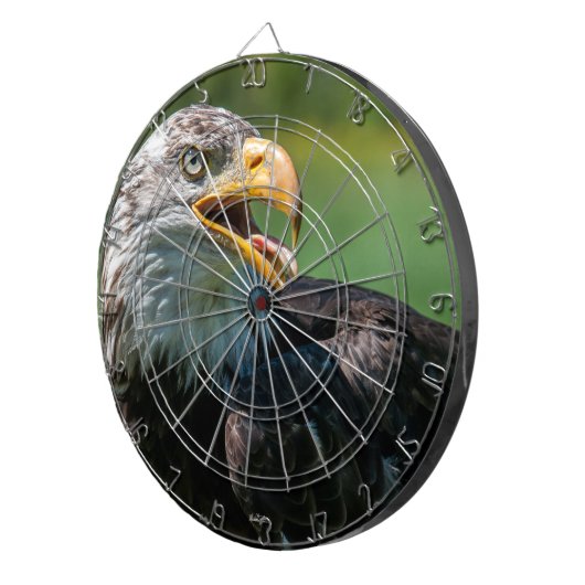 Jeu de fléchettes aigle ダーツボード (正面右)